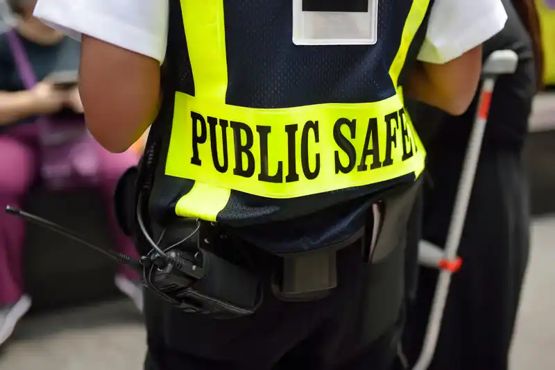 government public safety