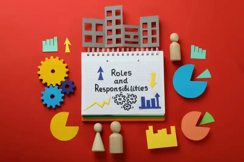 local government roles