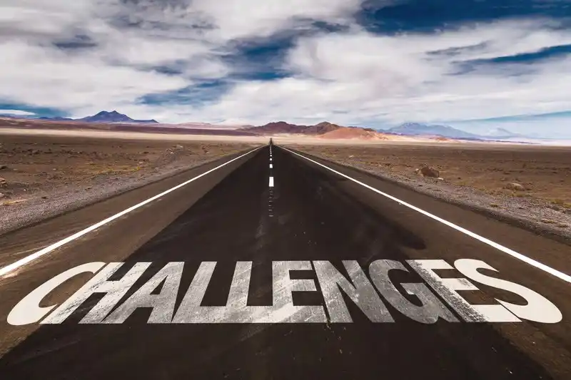 local government challenges