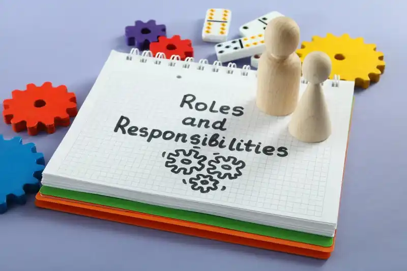 roles of local government