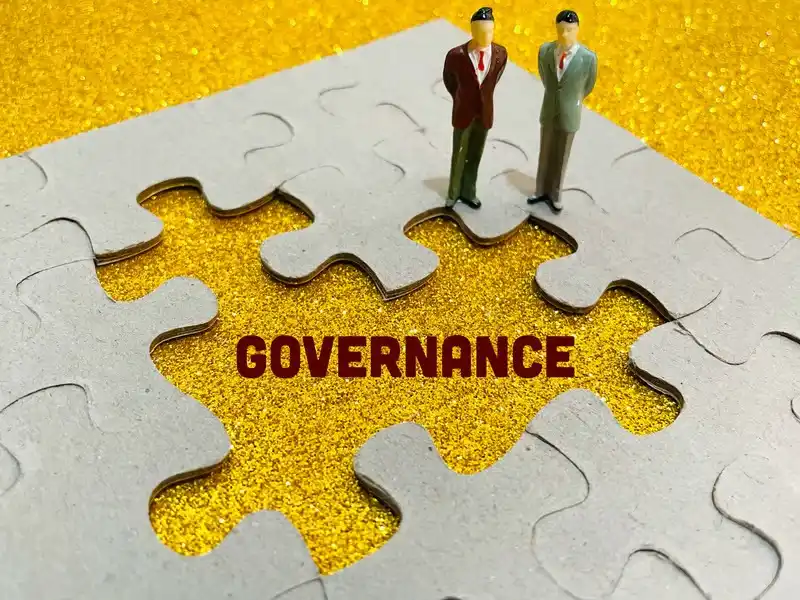 local government services